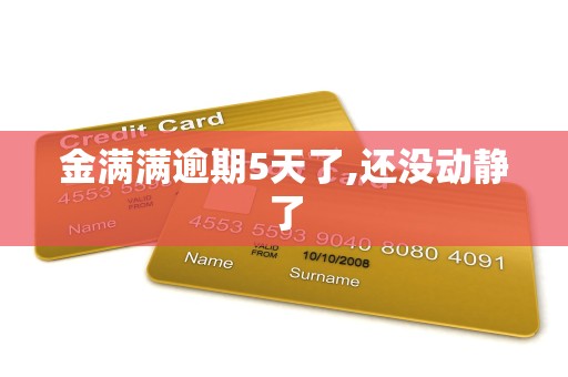 金满满逾期5天了,还没动静了