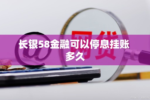 长银58金融可以停息挂账 多久