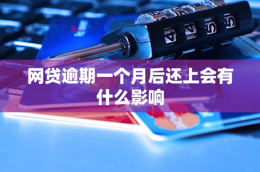 网贷逾期一个月后还上会有什么影响