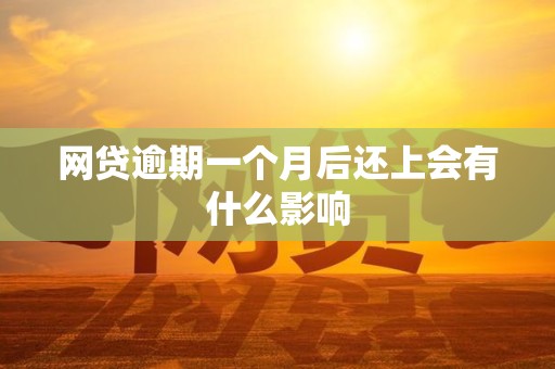 网贷逾期一个月后还上会有什么影响