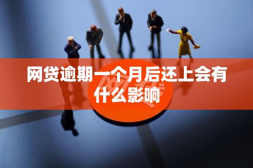网贷逾期一个月后还上会有什么影响