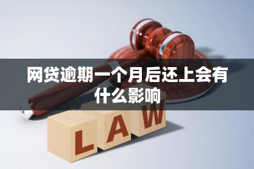 网贷逾期一个月后还上会有什么影响