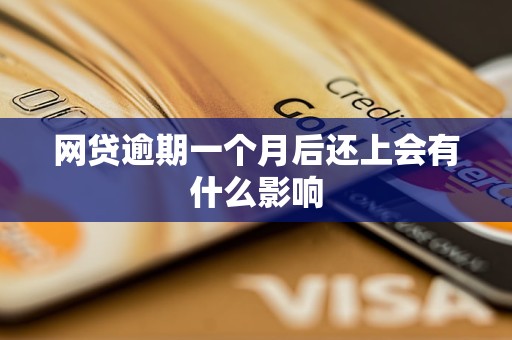 网贷逾期一个月后还上会有什么影响