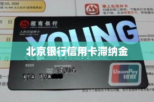 北京银行信用卡滞纳金
