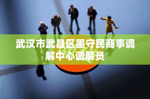 武汉市武昌区墨守民商事调解中心调解员