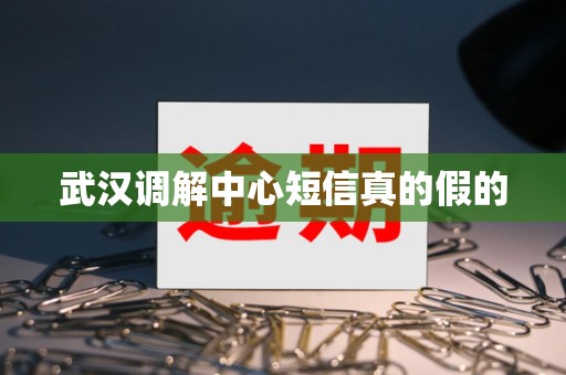 武汉调解中心短信真的假的