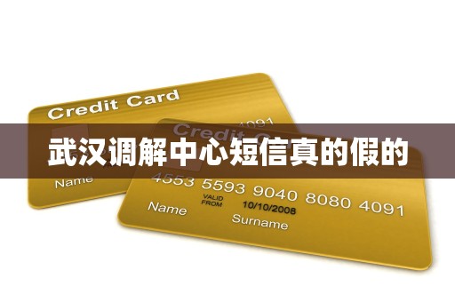 武汉调解中心短信真的假的