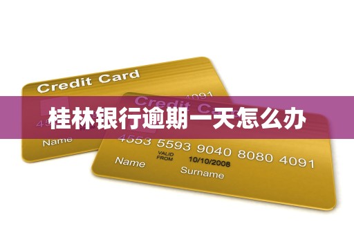 桂林银行逾期一天怎么办