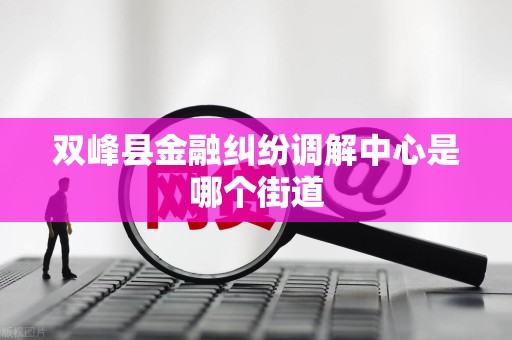 双峰县金融纠纷调解中心是哪个街道