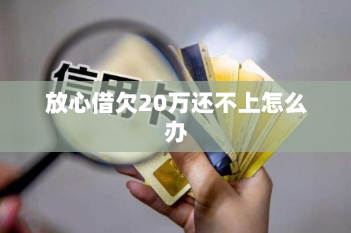 放心借欠20万还不上怎么办