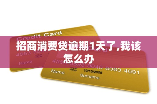 招商消费贷逾期1天了,我该怎么办