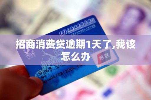 招商消费贷逾期1天了,我该怎么办