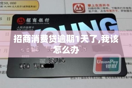 招商消费贷逾期1天了,我该怎么办