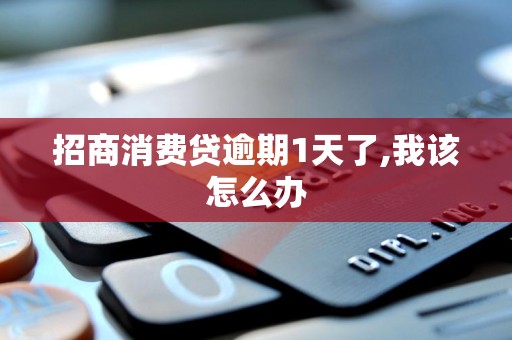 招商消费贷逾期1天了,我该怎么办