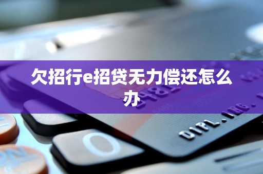 欠招行e招贷无力偿还怎么办
