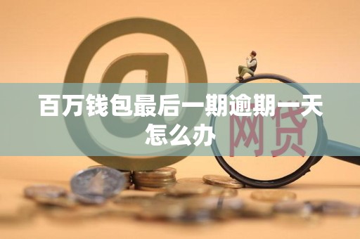 百万钱包最后一期逾期一天怎么办