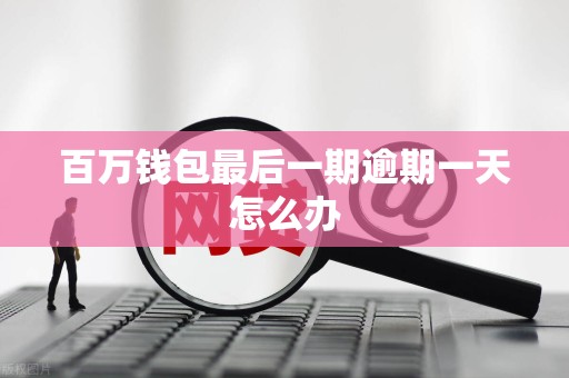 百万钱包最后一期逾期一天怎么办