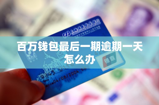 百万钱包最后一期逾期一天怎么办