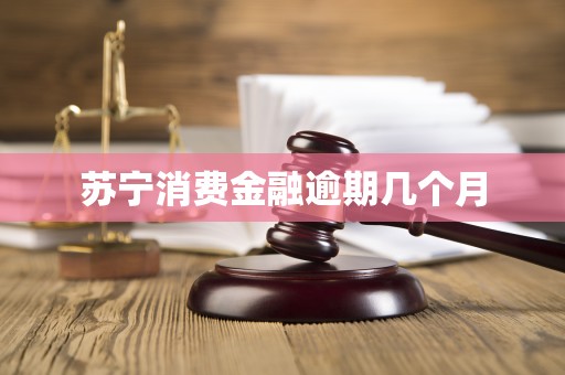 苏宁消费金融逾期几个月