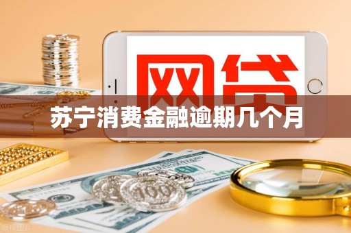 苏宁消费金融逾期几个月