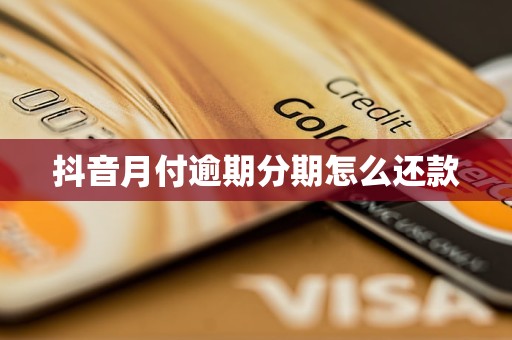 抖音月付逾期分期怎么还款