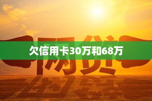 欠信用卡30万和68万