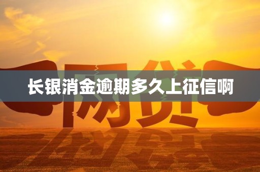 长银消金逾期多久上征信啊