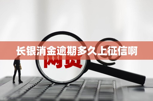 长银消金逾期多久上征信啊