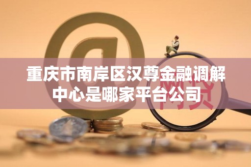 重庆市南岸区汉尊金融调解中心是哪家平台公司