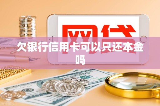 欠银行信用卡可以只还本金吗