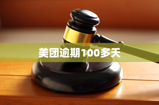 美团逾期100多天