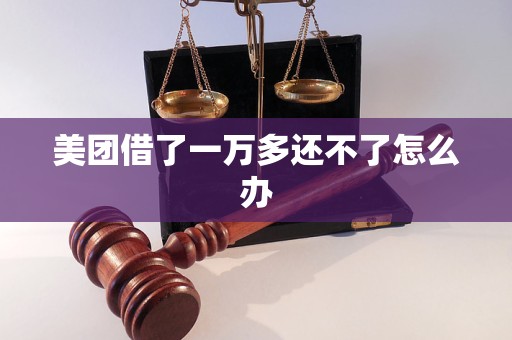 美团借了一万多还不了怎么办