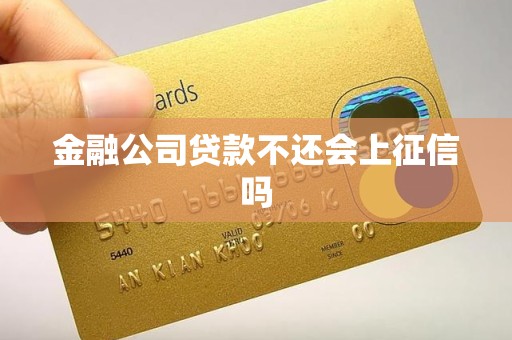 金融公司贷款不还会上征信吗