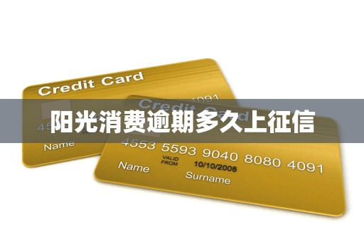 阳光消费逾期多久上征信