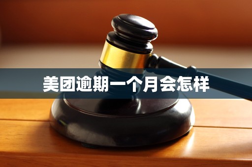 美团逾期一个月会怎样