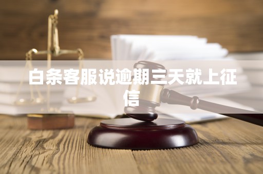 白条客服说逾期三天就上征信