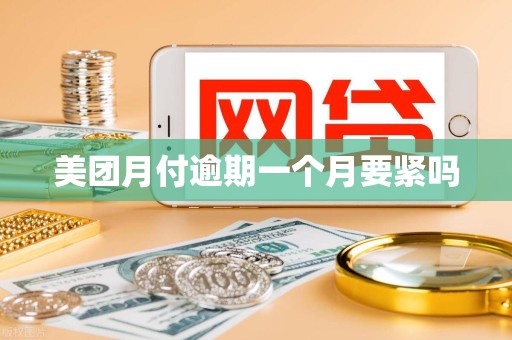 美团月付逾期一个月要紧吗