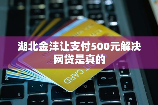 湖北金沣让支付500元解决网贷是真的