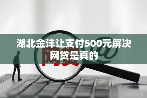 湖北金沣让支付500元解决网贷是真的