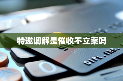 特邀调解是催收不立案吗