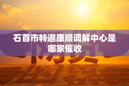 石首市特邀康顺调解中心是哪家催收