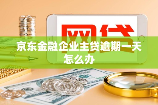 京东金融企业主贷逾期一天怎么办