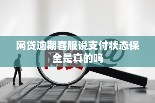 网贷逾期客服说支付状态保全是真的吗