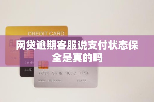 网贷逾期客服说支付状态保全是真的吗