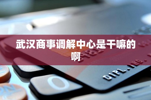 武汉商事调解中心是干嘛的啊