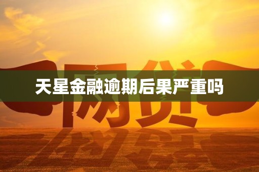 天星金融逾期后果严重吗