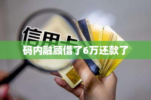 详细阅读:码内融顾借了6万还款了 码内融顾借了6万还款了