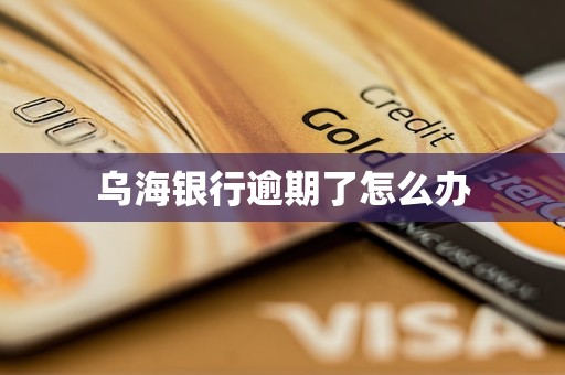 乌海银行逾期了怎么办
