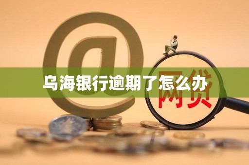 乌海银行逾期了怎么办