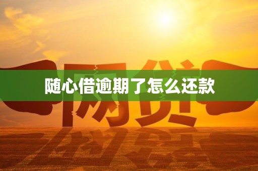 随心借逾期了怎么还款